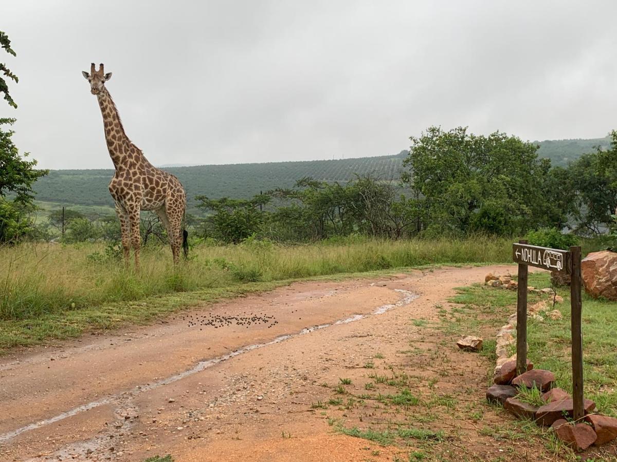 Ndhula Luxury Tented Lodge White River Kültér fotó